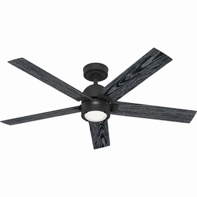 Erling 52"Ceiling Fan Matte Black portable medium fans with handle design