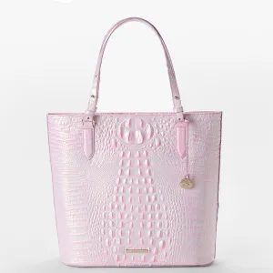Ezra Bags Brahmin Travel Bags