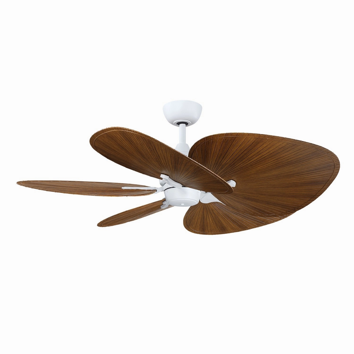 Fanimation Islander DC | Outdoor Ceiling Fan & Handheld Remote