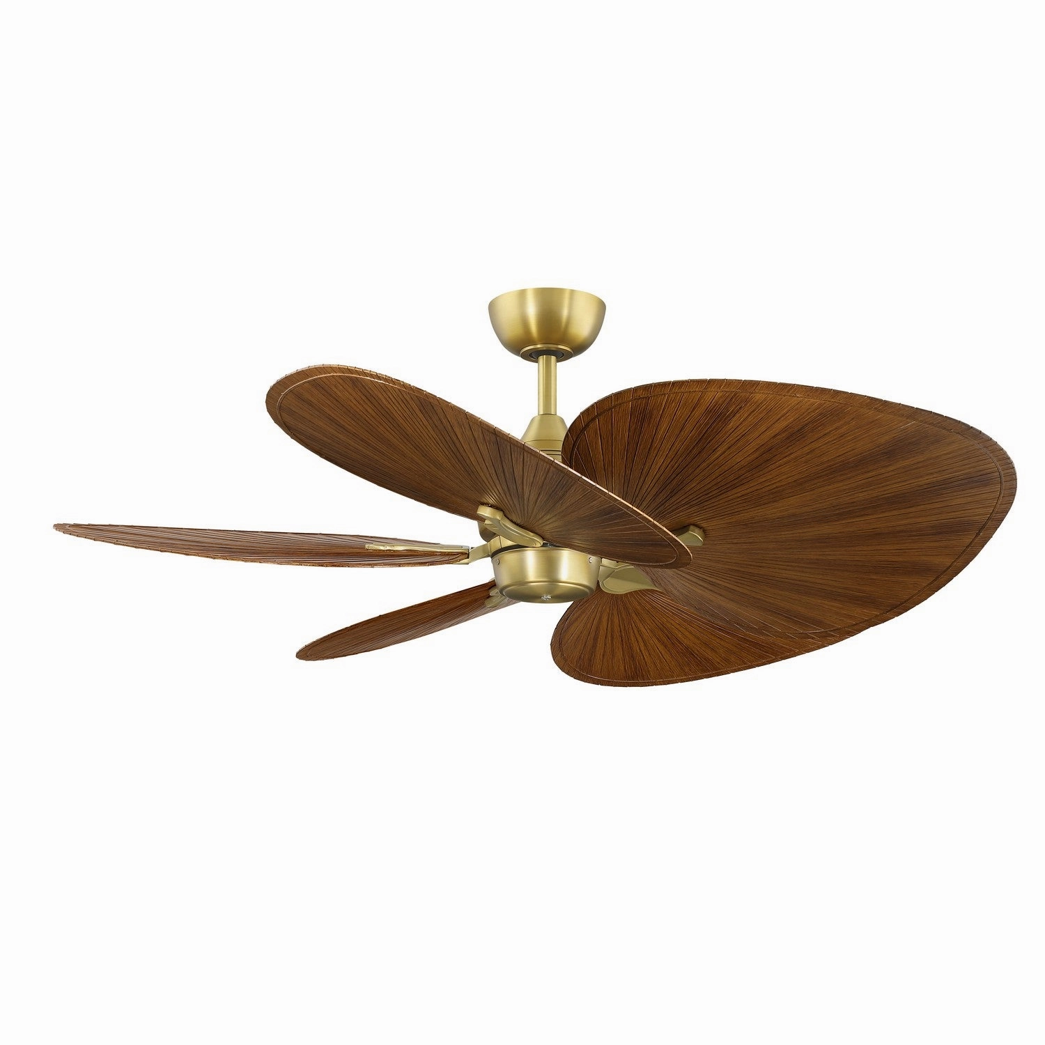 Fanimation Islander DC | Outdoor Ceiling Fan & Handheld Remote