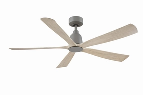 Fanimation Kute5 52 | Outdoor Ceiling Fan & Handheld Remote Energy-efficient ceiling fan with remote