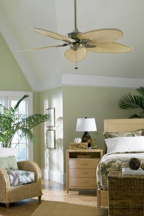 Fanimation Windpointe 52" Indoor/Outdoor Pull Chain Ceiling Fan adjustable indoor fans for better cooling