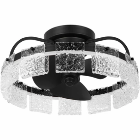 Fanin Ceiling Fan Matte Black decorative fandeliers with lights