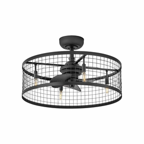 Finnigan 24" LED Fandelier quiet ceiling fans with remote control