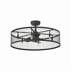 Finnigan 30" LED Fandelier modern fandeliers for living rooms