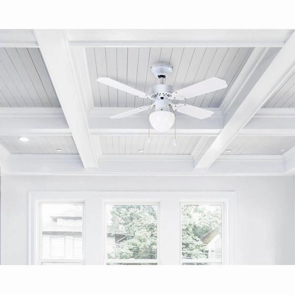 Galaxy Ceiling Fan