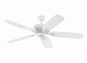 Generation Lighting Colony Indoor/Outdoor Pull Chain Ceiling Fan adjustable indoor fans for better cooling
