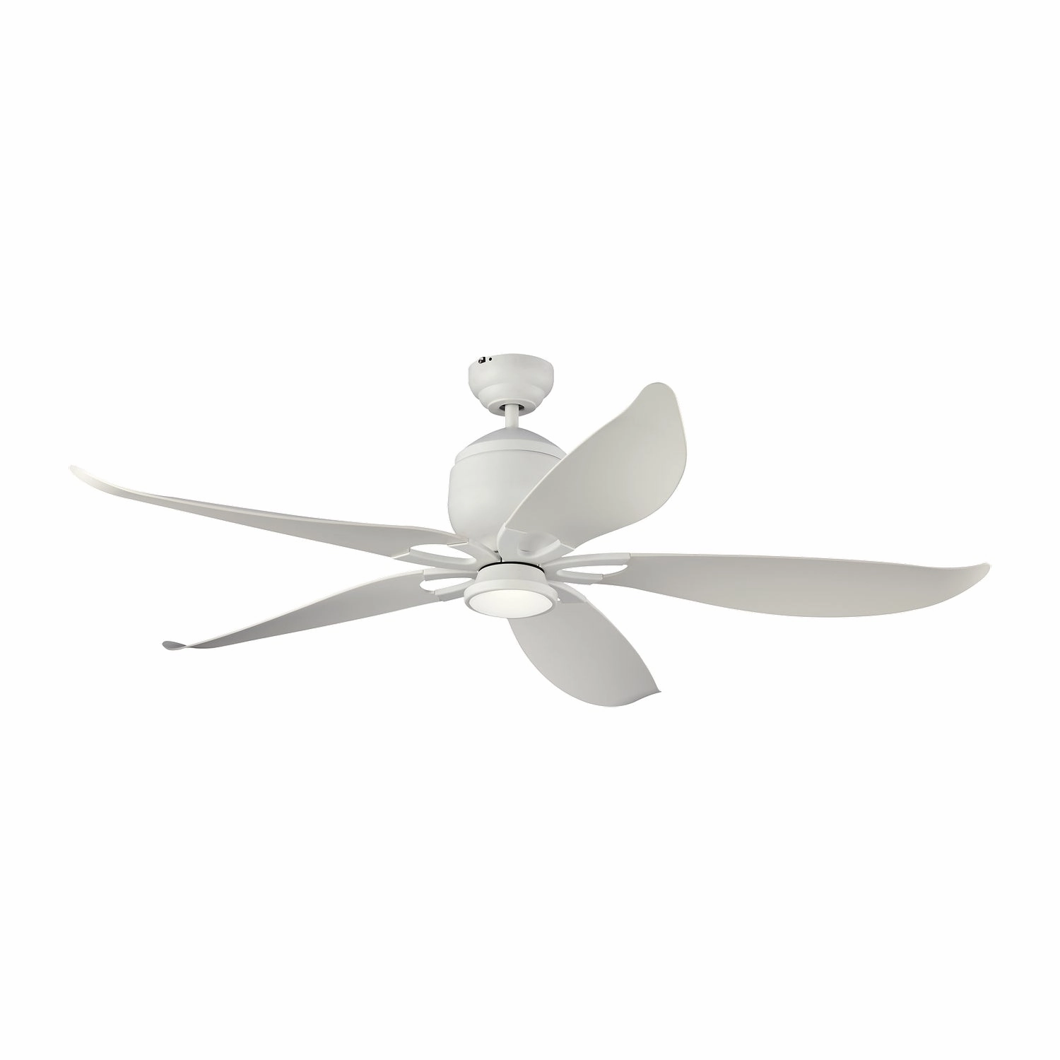 Generation Lighting Lily | Outdoor Ceiling Fan with 12W LED & Handheld Remote, 6-speed, Reverse and Dimmer