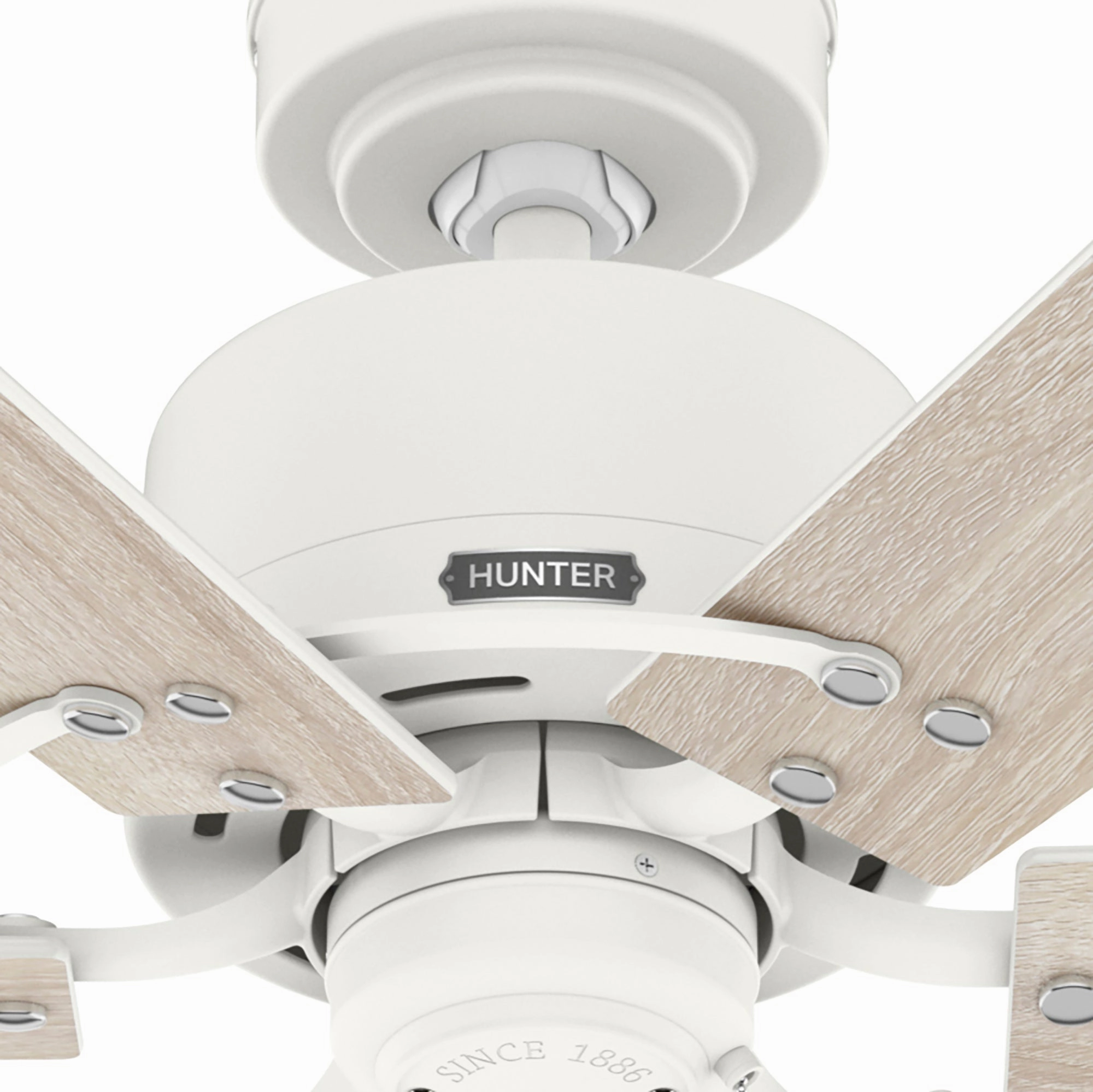 Gilrock 52"Ceiling Fan Matte White