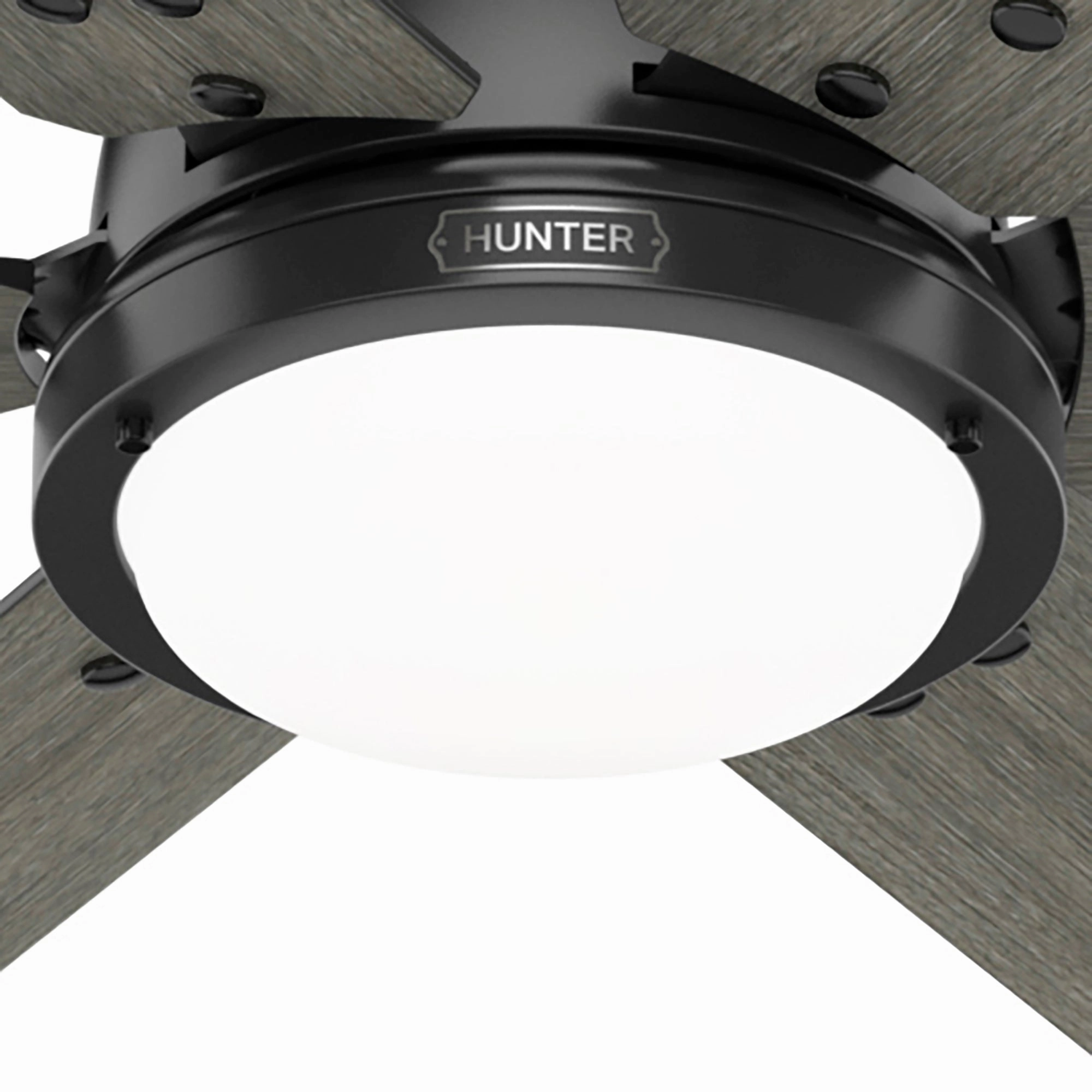Gravity 60"Ceiling Fan Matte Black