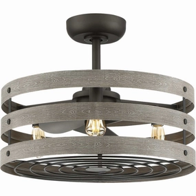 Gulliver 23"Ceiling Fan Graphite decorative fandeliers with lights