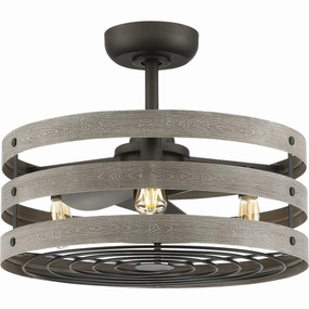 Gulliver 23"Ceiling Fan Graphite small electric fans for personal cooling