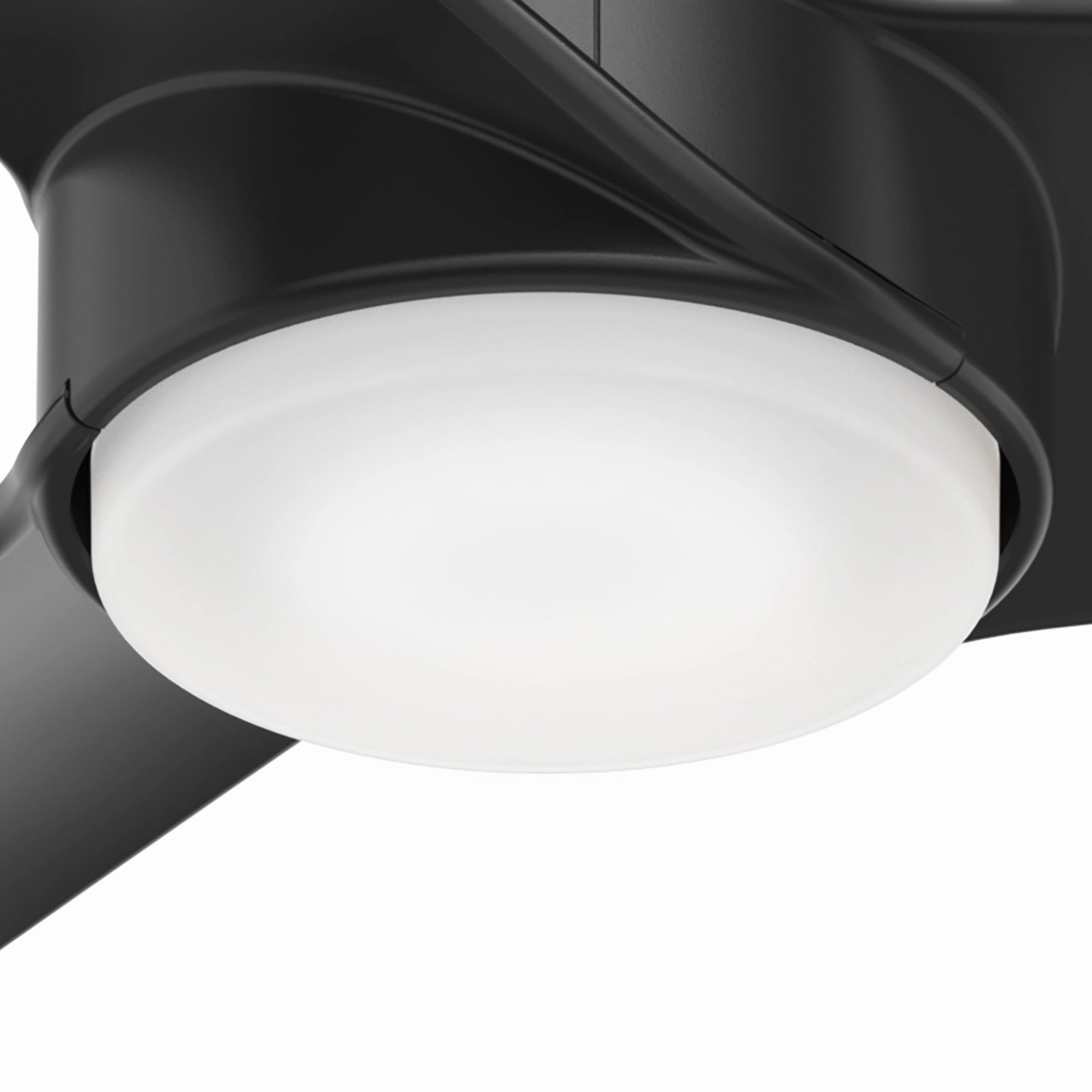 Havoc 54"Ceiling Fan Matte Black