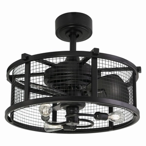 Humboldt 21"Ceiling Fan Black decorative fandeliers with lights