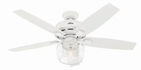 Hunter Fan Bennett 52" Indoor Ceiling Fan with 5W LED and Remote powerful indoor fans for whole-room cooling