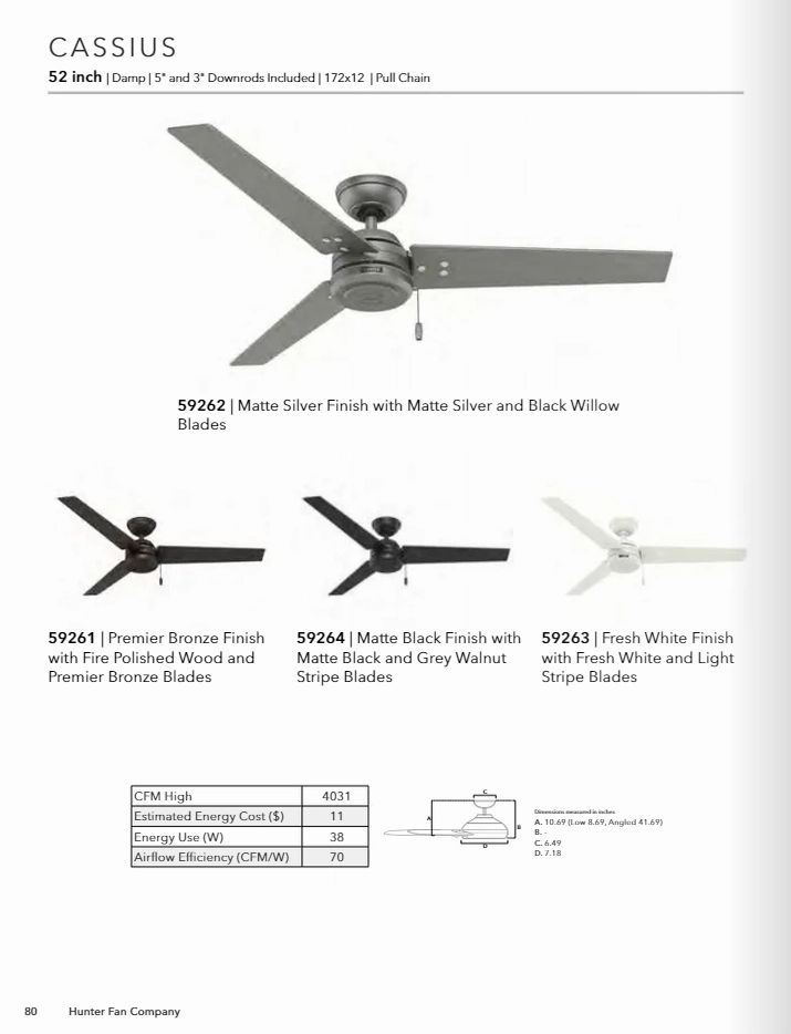 Hunter Fan Cassius Indoor/Outdoor Pull Chain Ceiling Fan