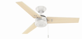 Hunter Fan Cassius Indoor/Outdoor Pull Chain Ceiling Fan compact indoor fans for apartment use