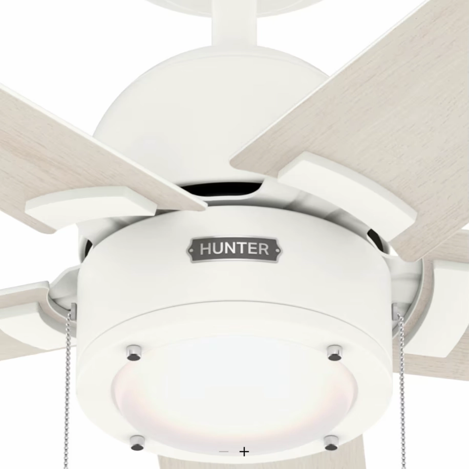 Hunter Fan Erling Pull Chain Ceiling Fan with 18W LED
