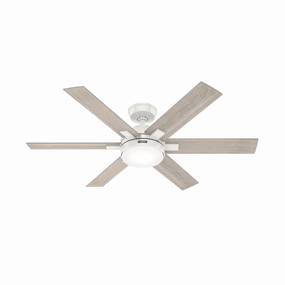 Hunter Fan Georgetown 52" Ceiling Fan with 18W LED and Remote quiet indoor fans for bedrooms and offices