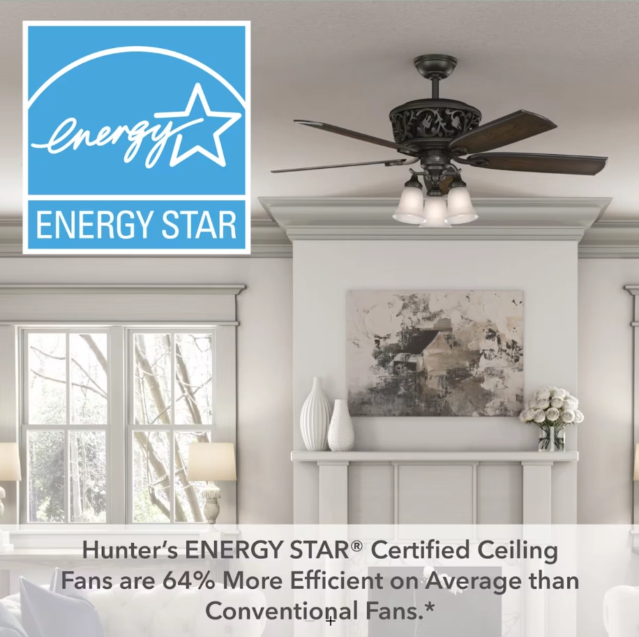 Hunter Fan Promenade 54" Indoor DC Ceiling Fan with 27W LED and Remote