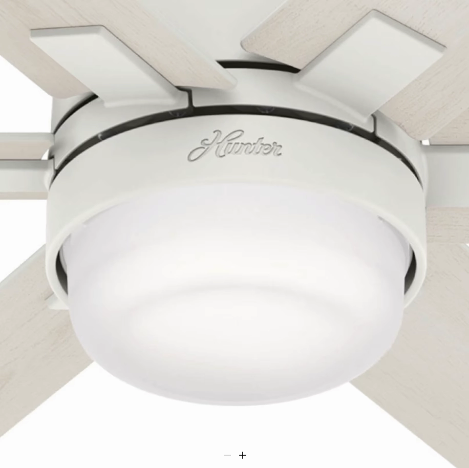 Hunter Fan Radeon Smart Indoor Ceiling Fan with 14W LED and Wall Control