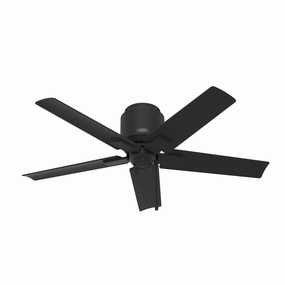 Hunter Fan Terrace Cove 44" Flushmount Outdoor Pull Chain Ceiling Fan adjustable indoor fans for cool airflow