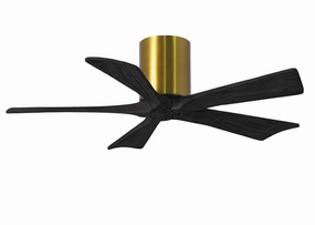 Irene-5H 42"Ceiling Fan Brushed Brass quiet small fans for desk or nightstand
