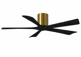 Irene-5H 52"Ceiling Fan Brushed Brass mini handheld fan for personal travel use