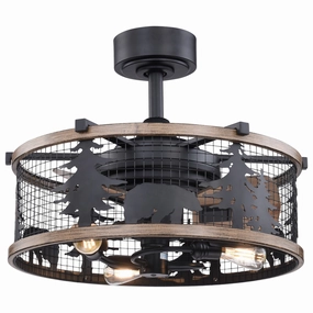 Kodiak 21"Ceiling Fan Oil Rubbed Bronze and Burnished Teak decorative fandeliers with lights