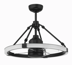Levy 19"Ceiling Fan Flat Black decorative fandeliers with lights
