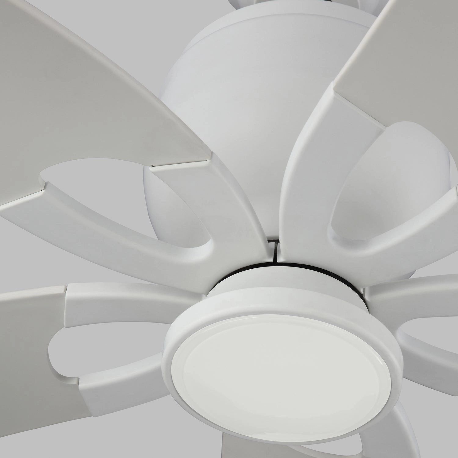 Lily 56"Ceiling Fan Matte White
