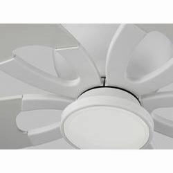 Lily Ceiling Fan