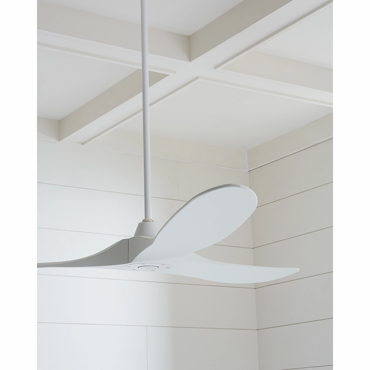 Maverick 60" Ceiling Fan