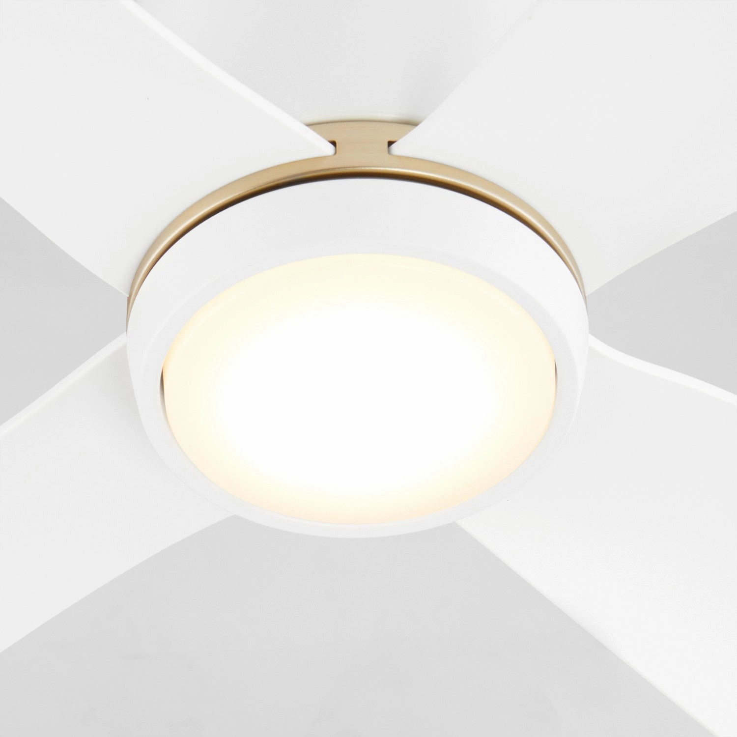 Myriad 56"Ceiling Fan White