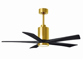 Patricia 52"Ceiling Fan Brushed Brass portable medium fans with handle design