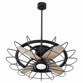 Quorum Mira 30" Indoor/Outdoor 18W LED DC Ceiling Fan with Wall Control quiet indoor fans for bedrooms and offices