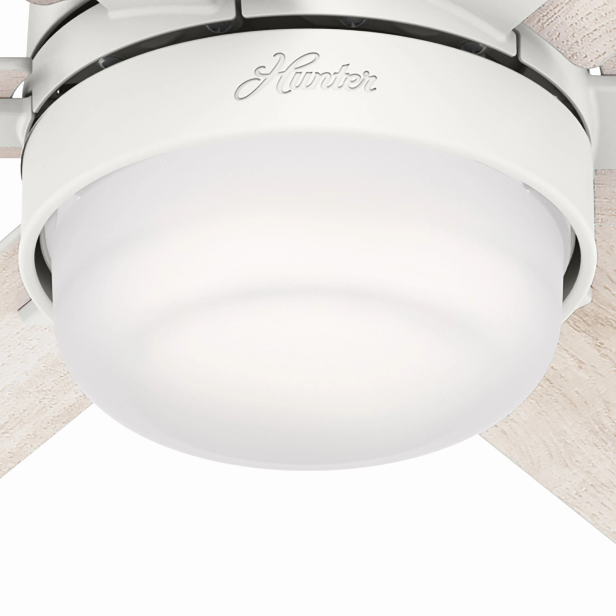 Radeon 44"Ceiling Fan Matte White