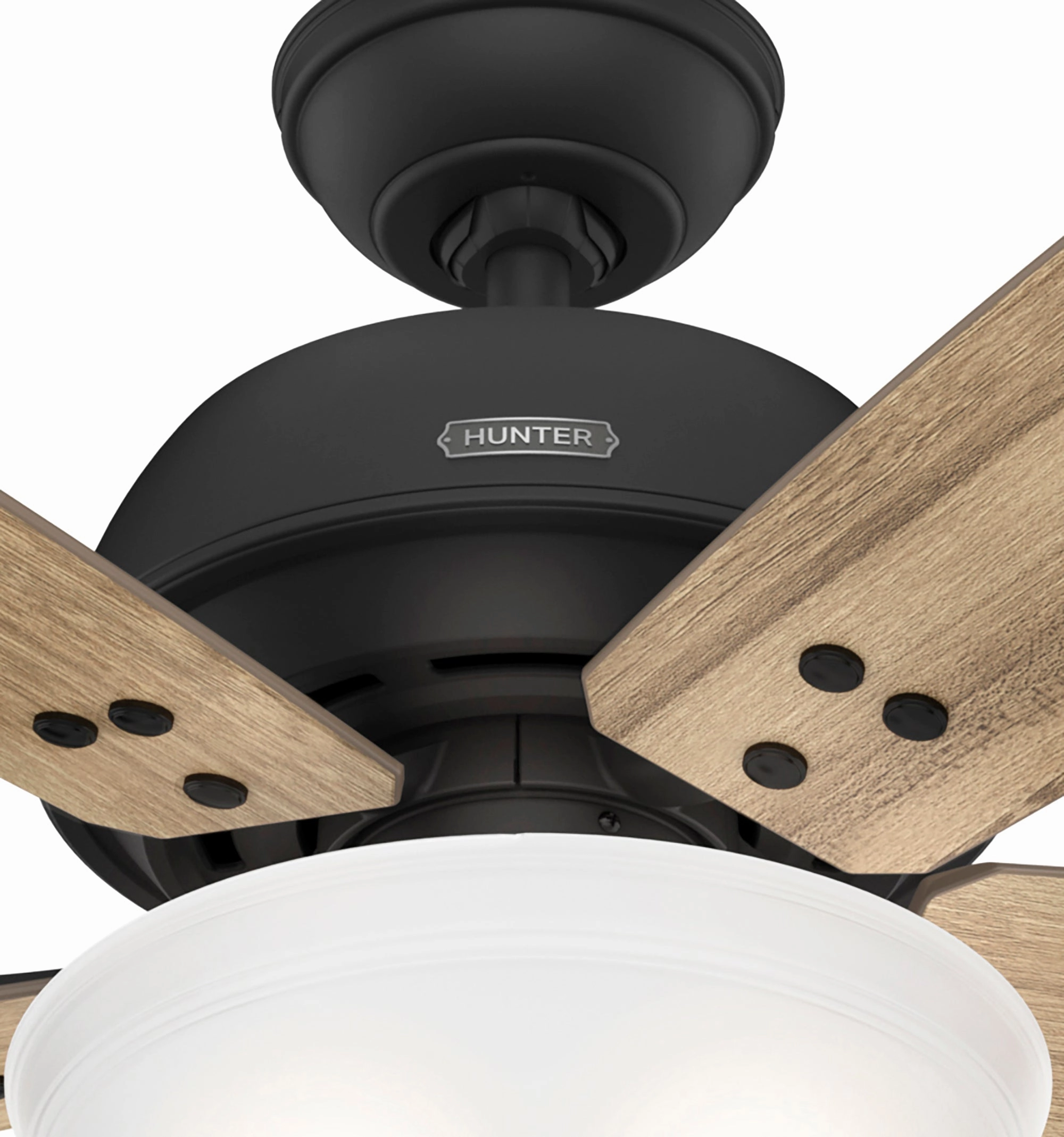 Reveille 60"Ceiling Fan Matte Black