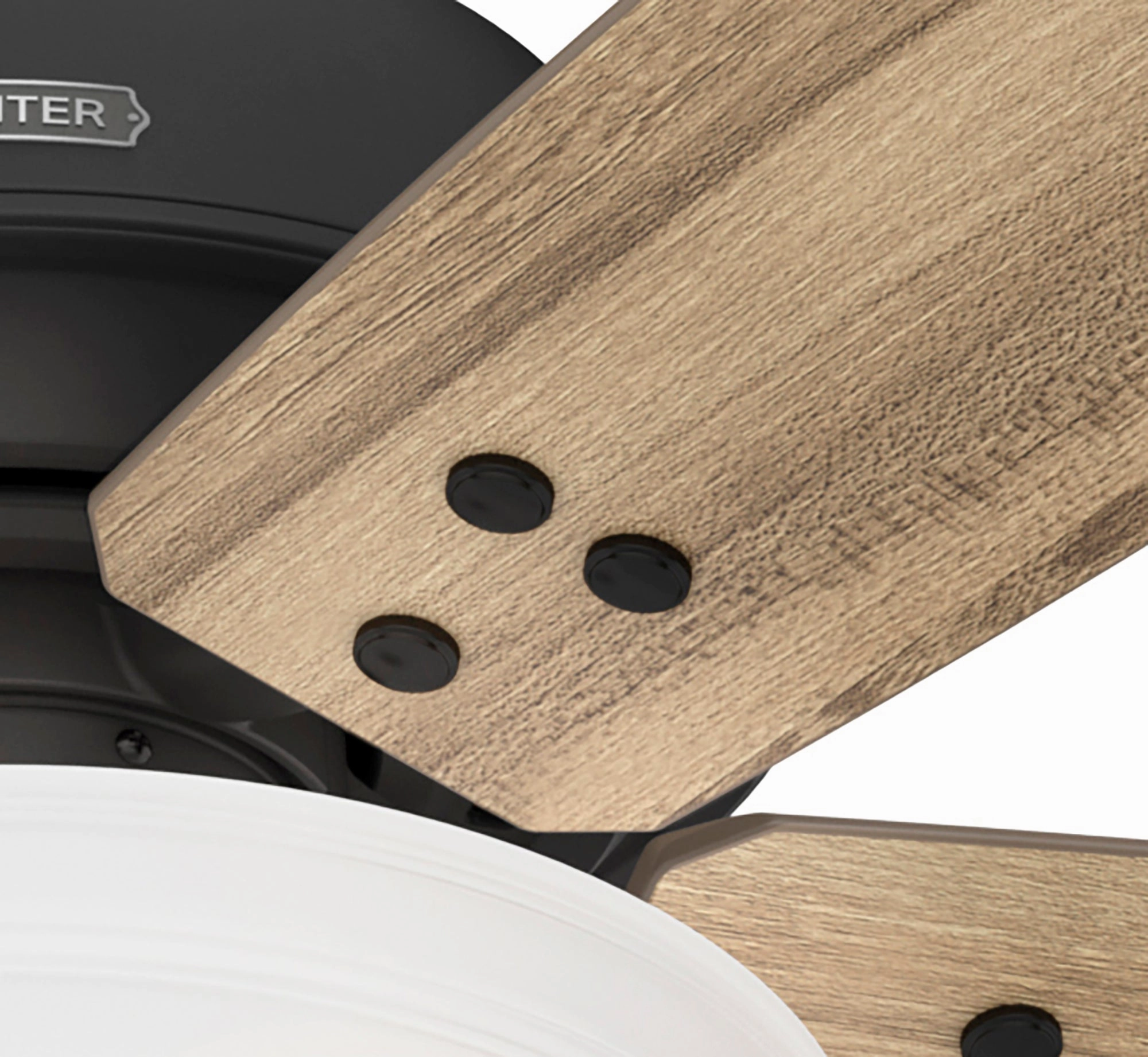 Reveille 60"Ceiling Fan Matte Black