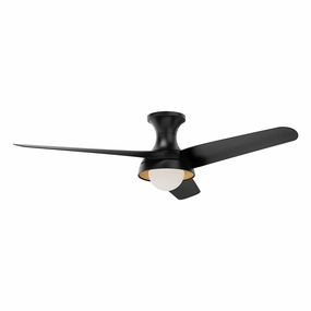 Rubio-H 54"Ceiling Fan Matte Black modern medium fans for everyday cooling