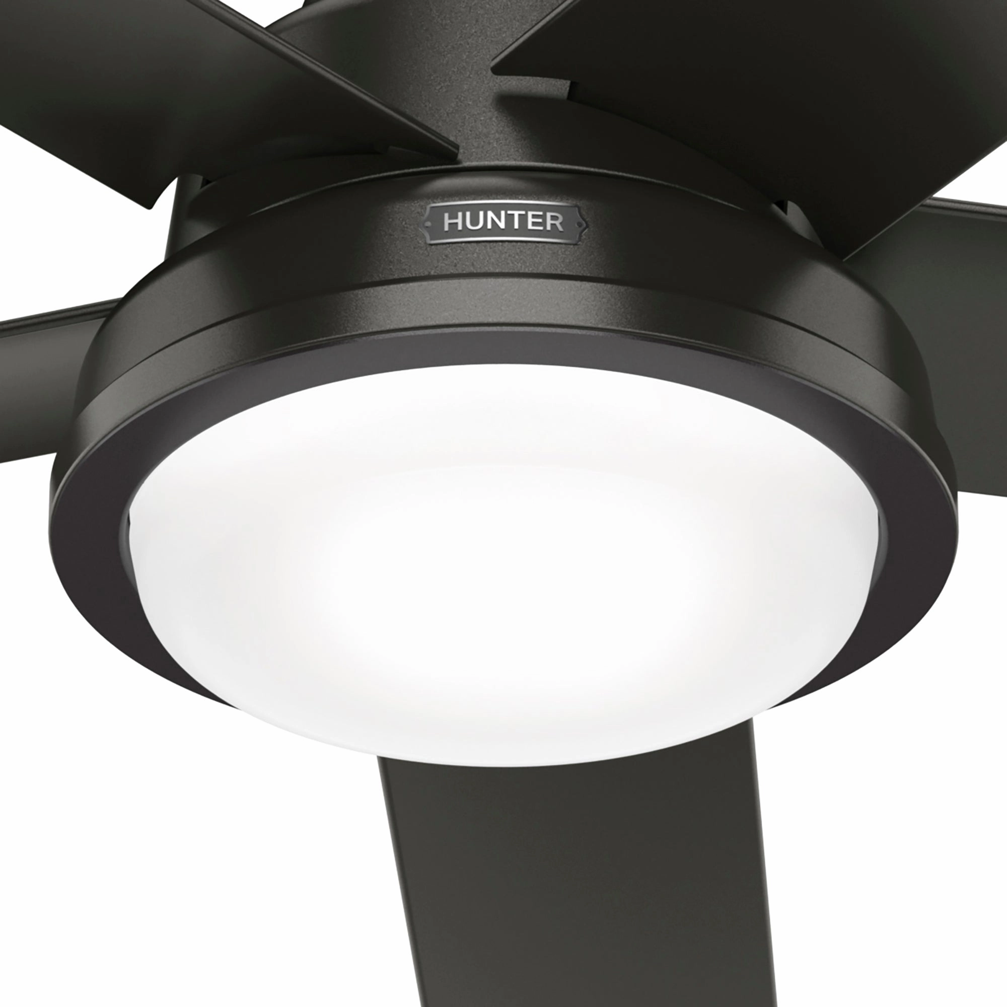 Seawall 52"Ceiling Fan Noble Bronze