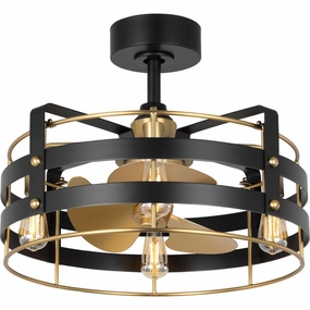 Sewell 24"Ceiling Fan Matte Black decorative fandeliers with lights