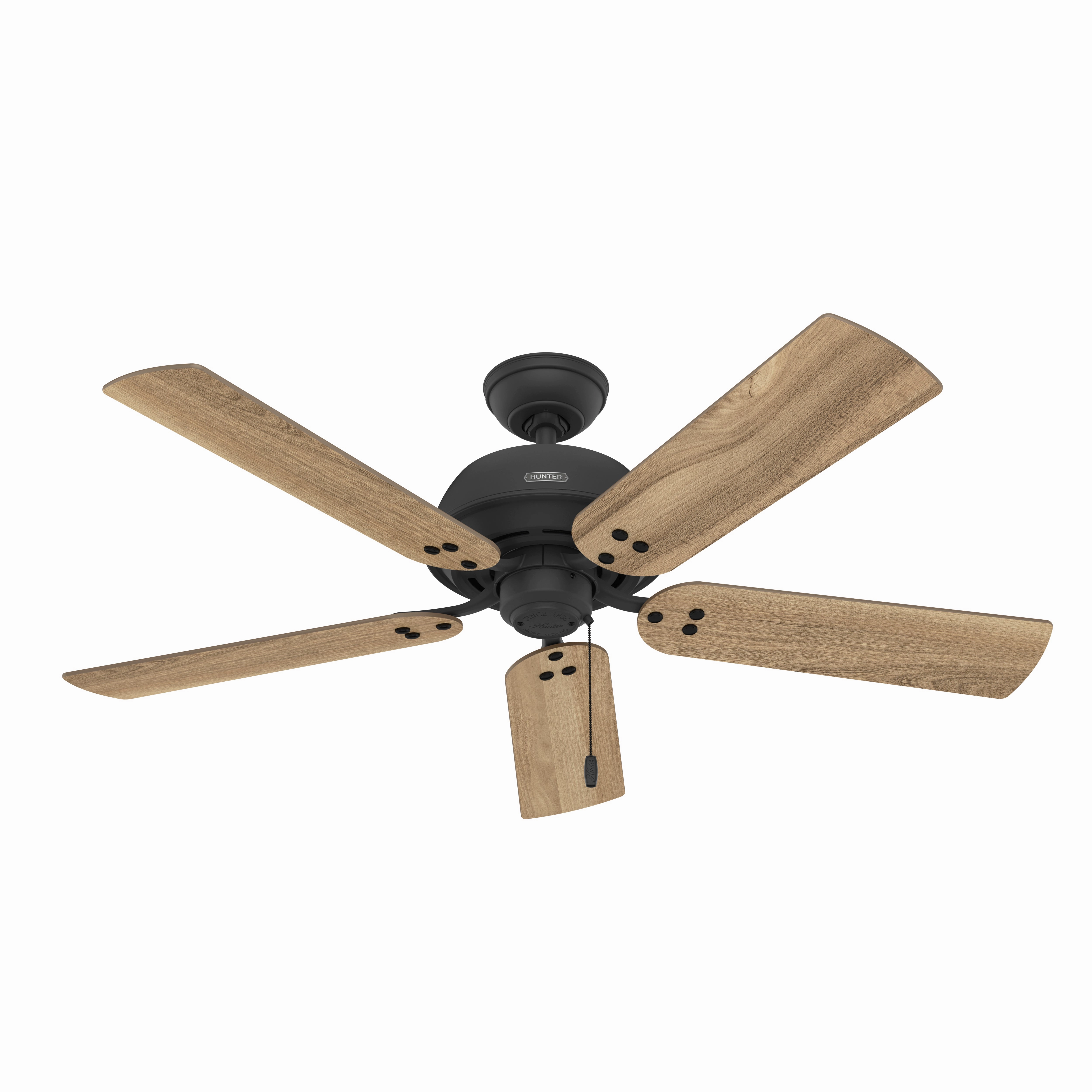 Shady Grove 52"Ceiling Fan Matte Black