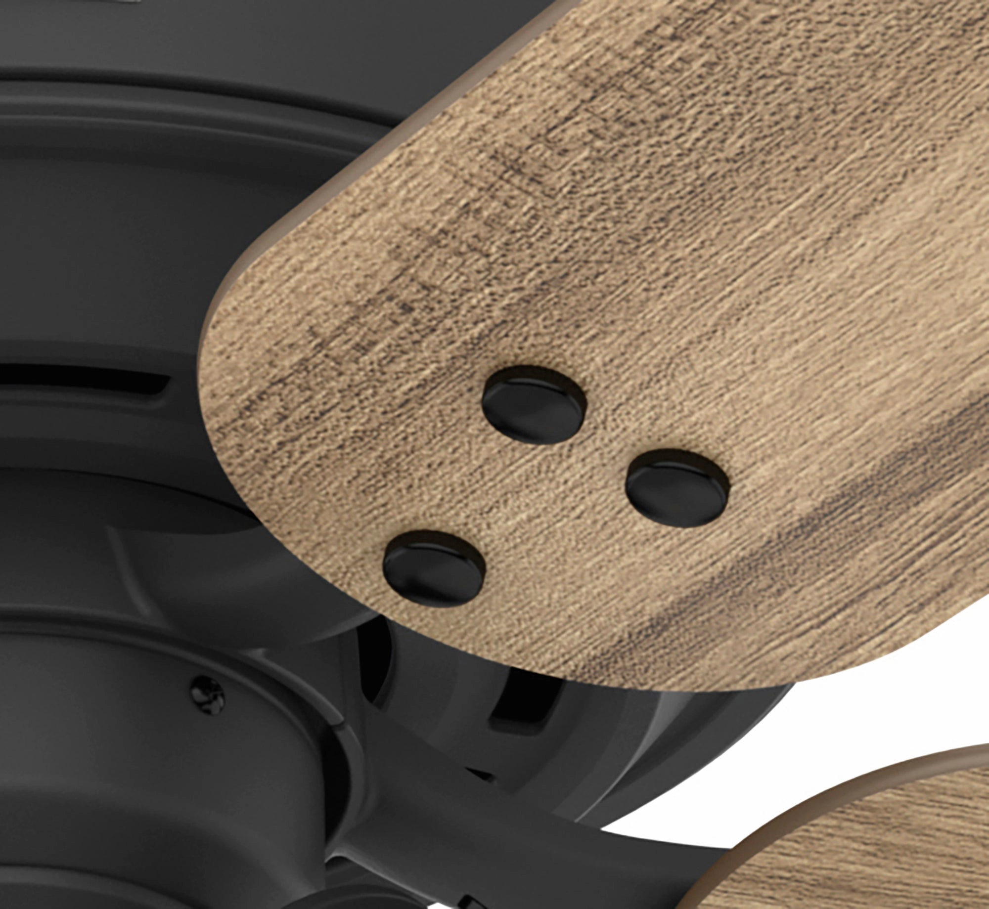 Shady Grove 52"Ceiling Fan Matte Black