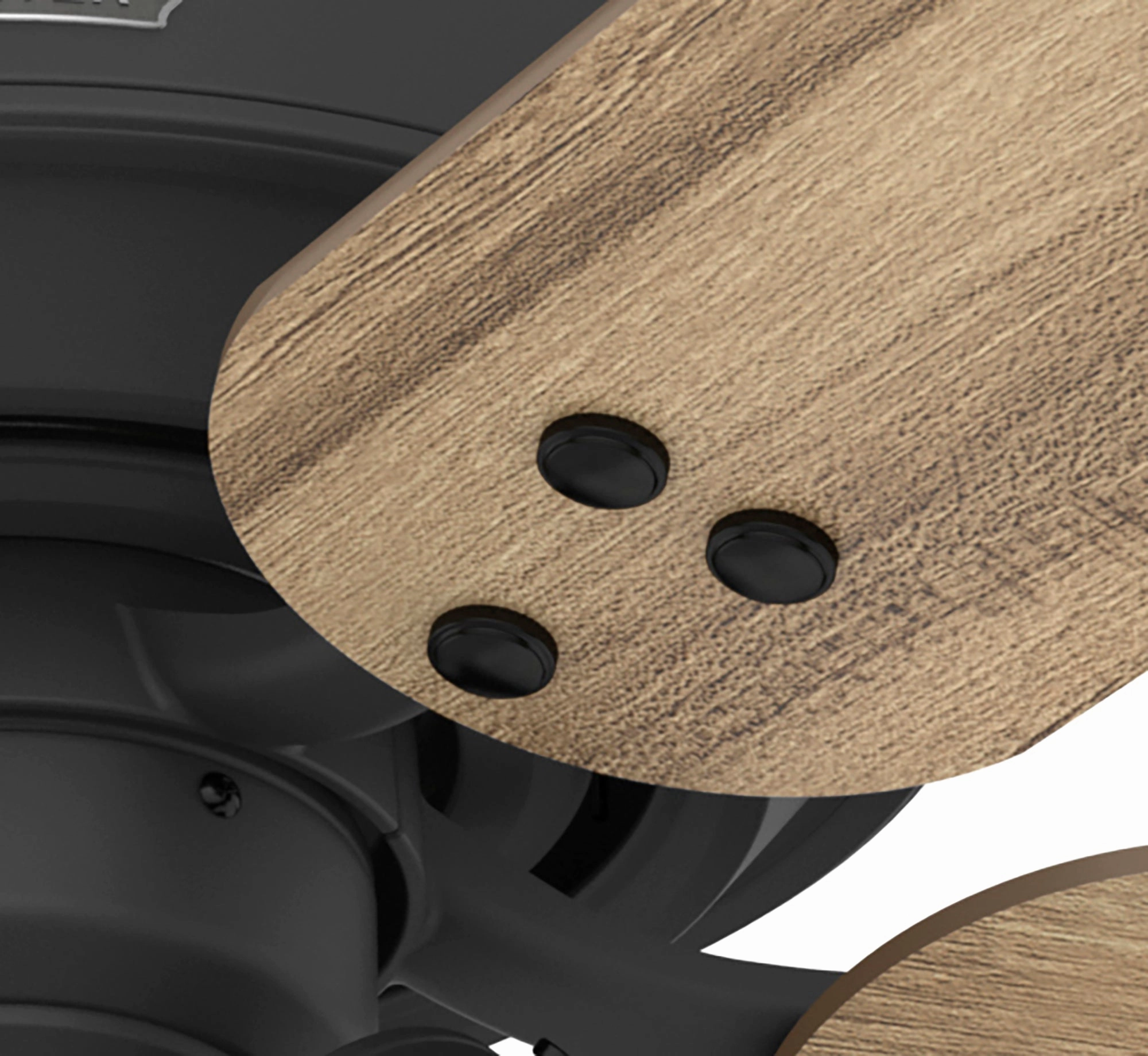 Shady Grove 52"Ceiling Fan Matte Black