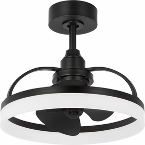 Shear Ceiling Fan Matte Black decorative fandeliers with lights
