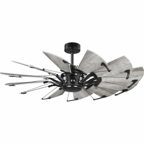 Springer 52"Ceiling Fan Matte Black home cooling fans in medium size