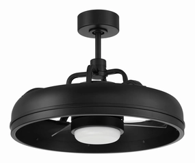 Taylor Indoor/Outdoor 20"Ceiling Fan Flat Black decorative fandeliers with lights