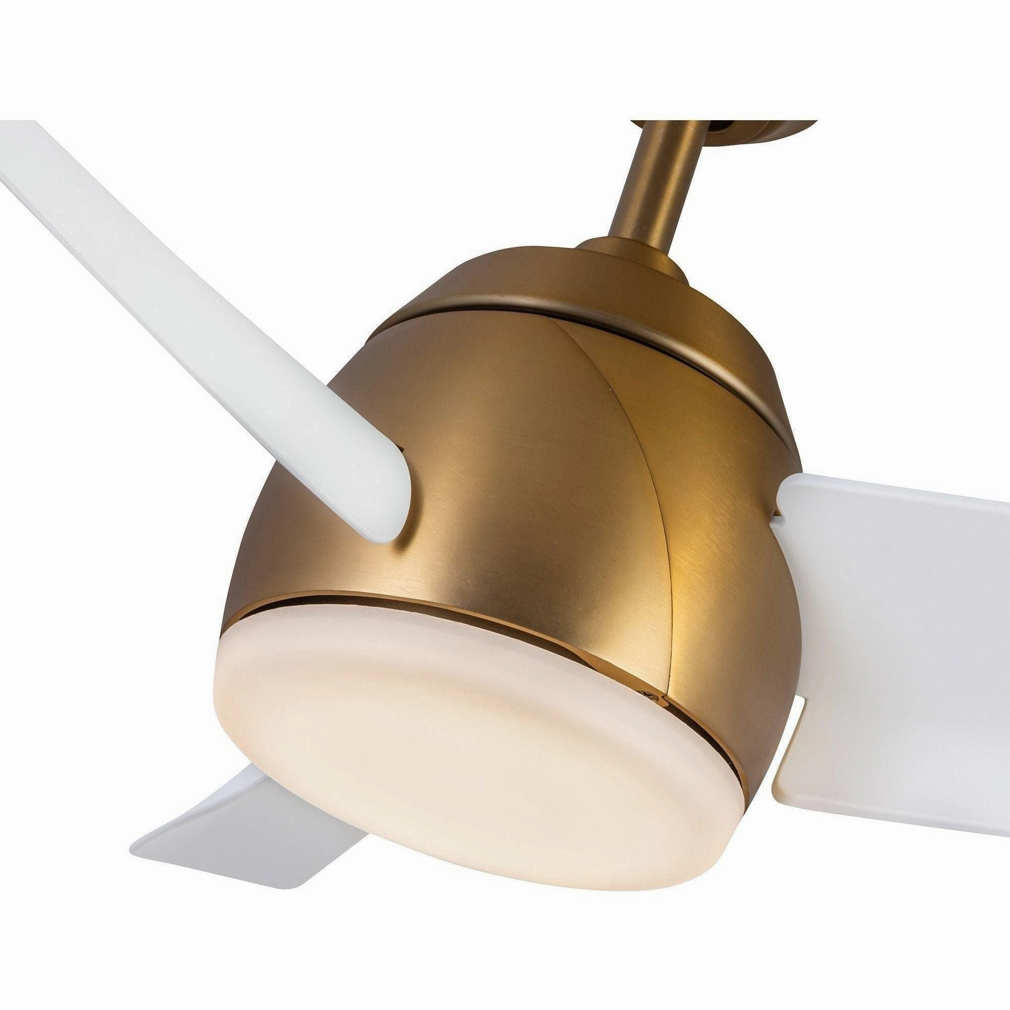 Thalia 54" Ceiling Fan