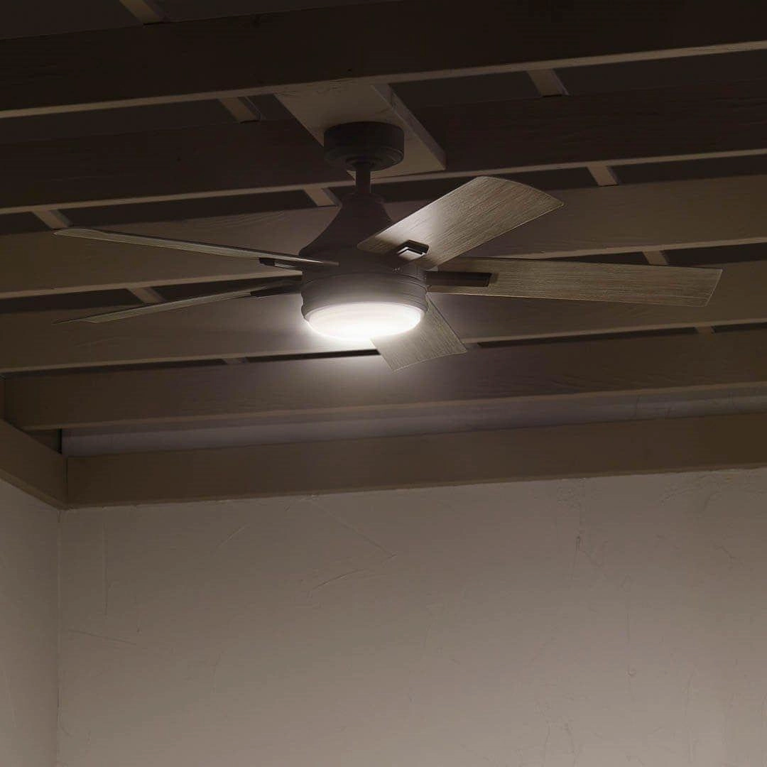 Tide 52" Weather  Outdoor Ceiling Fan